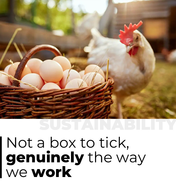 E-Magazine 06 - Not a box to tick, genuinely the way we work